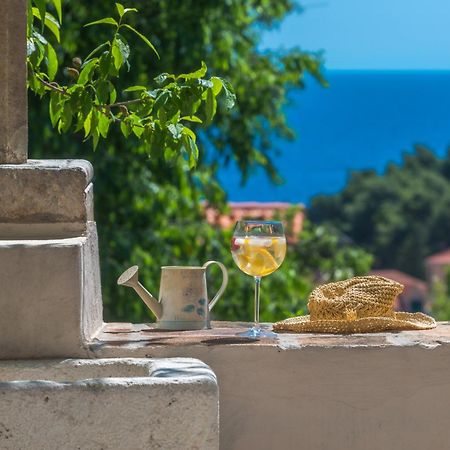 Villa Flores Garden ドゥブロブニク エクステリア 写真